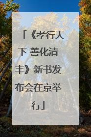《孝行天下 善化清丰》新书发布会在京举行