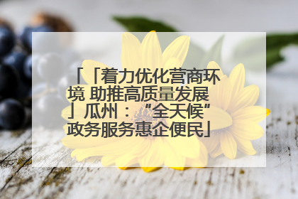 「着力优化营商环境 助推高质量发展」瓜州：“全天候”政务服务惠企便民