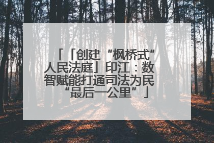 「创建“枫桥式”人民法庭」印江：数智赋能打通司法为民“最后一公里”