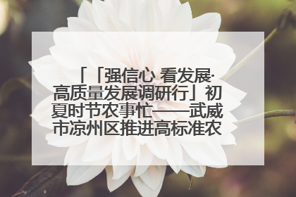 「强信心 看发展·高质量发展调研行」初夏时节农事忙——武威市凉州区推进高标准农田建设见闻