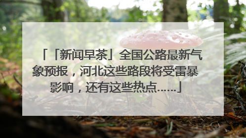 「新闻早茶」全国公路最新气象预报，河北这些路段将受雷暴影响，还有这些热点……