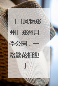 「风物郑州」郑州月季公园：一路繁花相迎