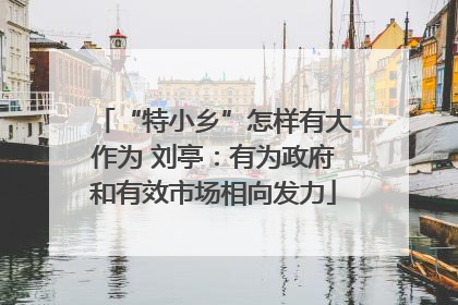 “特小乡”怎样有大作为 刘亭：有为政府和有效市场相向发力