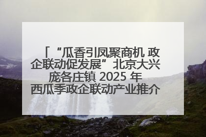 “瓜香引凤聚商机 政企联动促发展”北京大兴庞各庄镇 2025 年西瓜季政企联动产业推介活动圆满举行