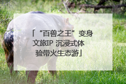 “百兽之王”变身文旅IP 沉浸式体验带火生态游