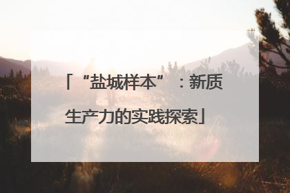 “盐城样本”：新质生产力的实践探索