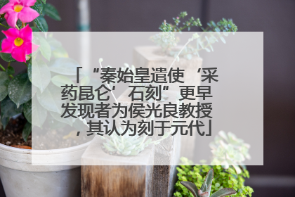 “秦始皇遣使‘采药昆仑’石刻”更早发现者为侯光良教授，其认为刻于元代