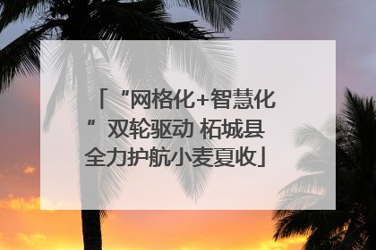“网格化+智慧化”双轮驱动 柘城县全力护航小麦夏收