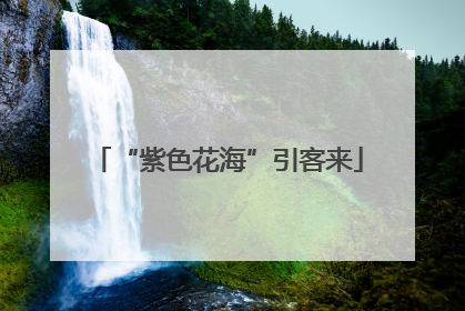 “紫色花海”引客来