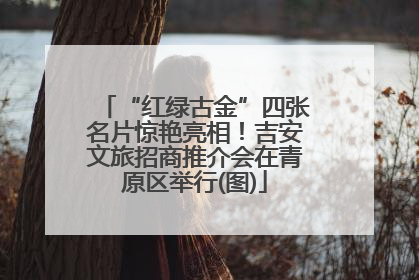 “红绿古金”四张名片惊艳亮相！吉安文旅招商推介会在青原区举行(图)