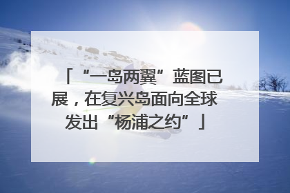 “一岛两翼”蓝图已展，在复兴岛面向全球发出“杨浦之约”