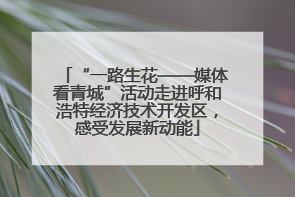 “一路生花——媒体看青城”活动走进呼和浩特经济技术开发区，感受发展新动能