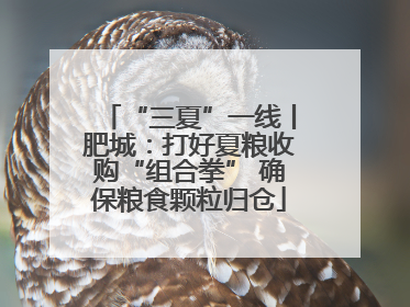 “三夏”一线丨肥城：打好夏粮收购“组合拳” 确保粮食颗粒归仓