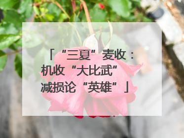 “三夏”麦收：机收“大比武” 减损论“英雄”