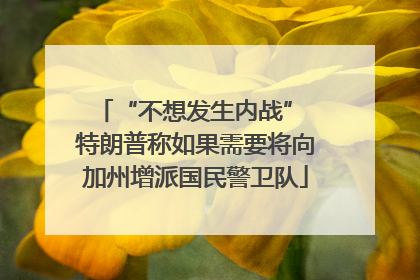 “不想发生内战” 特朗普称如果需要将向加州增派国民警卫队