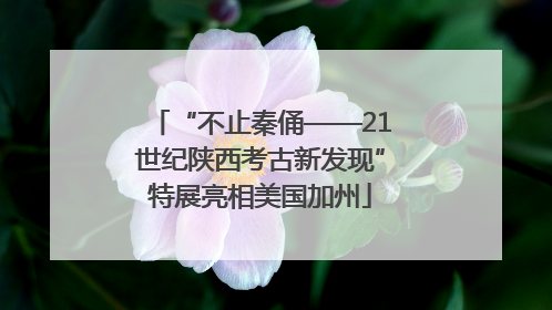 “不止秦俑——21世纪陕西考古新发现”特展亮相美国加州