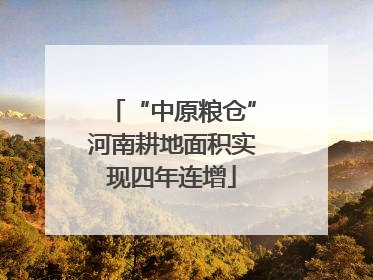 “中原粮仓”河南耕地面积实现四年连增