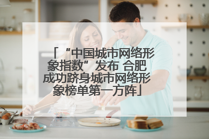 “中国城市网络形象指数”发布 合肥成功跻身城市网络形象榜单第一方阵