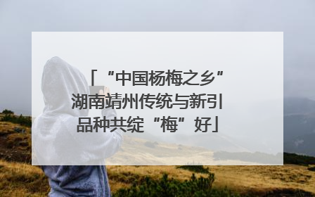 “中国杨梅之乡”湖南靖州传统与新引品种共绽“梅”好