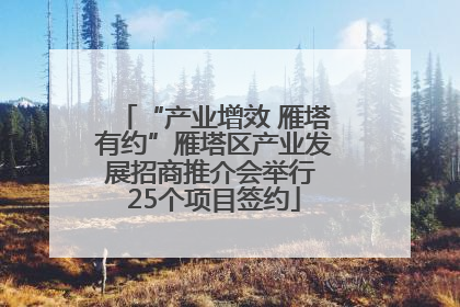 “产业增效 雁塔有约”雁塔区产业发展招商推介会举行 25个项目签约
