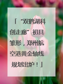 “双鹤湖科创走廊”初具雏形，郑州航空港黄金轴线规划出炉！