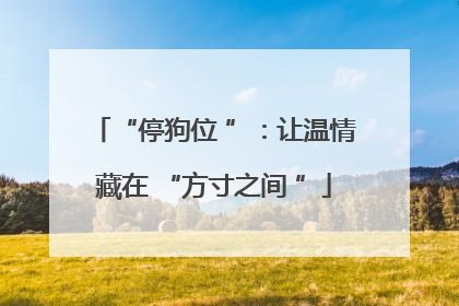 “停狗位 ”：让温情藏在 “方寸之间 ”