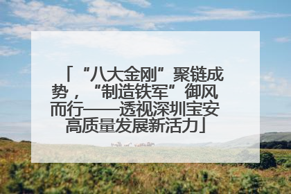 “八大金刚”聚链成势，“制造铁军”御风而行——透视深圳宝安高质量发展新活力