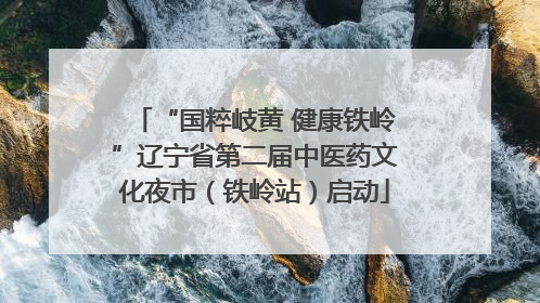 “国粹岐黄 健康铁岭”辽宁省第二届中医药文化夜市（铁岭站）启动