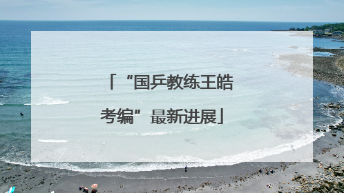 “国乒教练王皓考编”最新进展