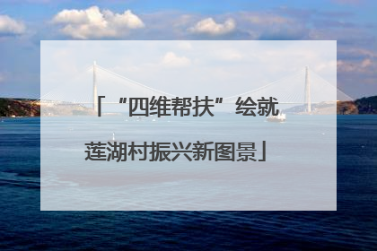 “四维帮扶”绘就莲湖村振兴新图景