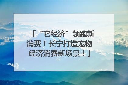 “它经济”领跑新消费！长宁打造宠物经济消费新场景！