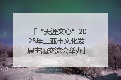 “天涯文心”2025年三亚市文化发展主题交流会举办