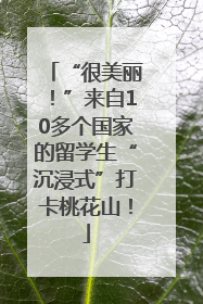 “很美丽！”来自10多个国家的留学生“沉浸式”打卡桃花山！