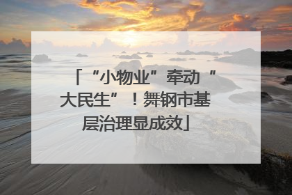 “小物业”牵动“大民生”！舞钢市基层治理显成效