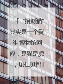“招财猫”其实是一个熨斗 博物馆回应：是猫是虎，见仁见智