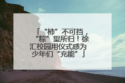 “柿”不可挡，“粽”望所归！徐汇校园用仪式感为少年们“充能”