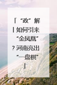 “政”解丨如何引来“金凤凰”？河南亮出“一盘棋”