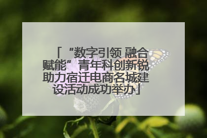 “数字引领 融合赋能”青年科创新锐助力宿迁电商名城建设活动成功举办