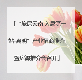 “旅居云南·入昆第一站-嵩明”产业招商推介暨房源推介会召开