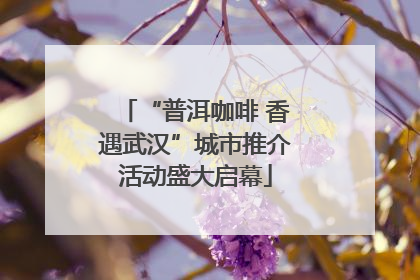 “普洱咖啡 香遇武汉”城市推介活动盛大启幕