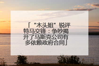 “木头姐”锐评特马交锋：争吵揭开了马斯克公司有多依赖政府合同