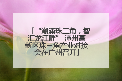 “潮涌珠三角，智汇龙江畔” 漳州高新区珠三角产业对接会在广州召开