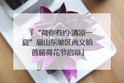 “荷你有约·清凉一夏”眉山东坡区尚义镇首届荷花节启幕