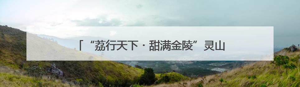 “荔行天下・甜满金陵”灵山荔枝品牌交流活动在宁举行
