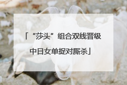 “莎头”组合双线晋级 中日女单捉对厮杀
