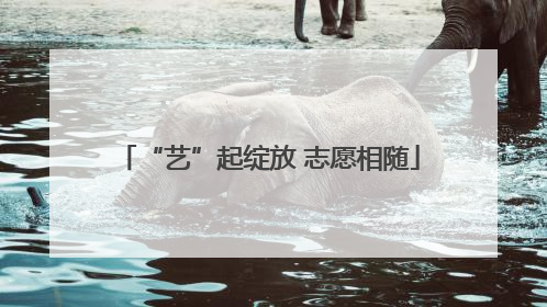 “艺”起绽放 志愿相随