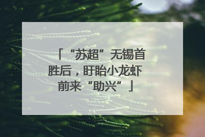 “苏超”无锡首胜后，盱眙小龙虾前来“助兴”