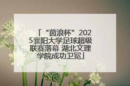 “茵浪杯”2025襄阳大学足球超级联赛落幕 湖北文理学院成功卫冕