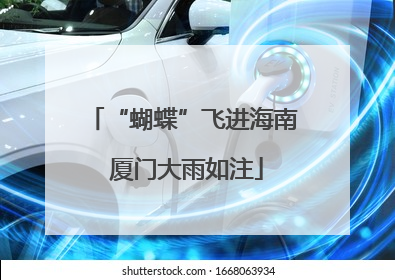 “蝴蝶”飞进海南 厦门大雨如注