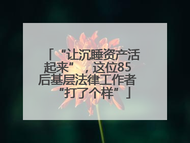 “让沉睡资产活起来”，这位85后基层法律工作者“打了个样”